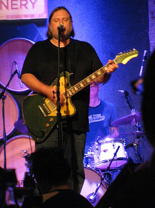 Matthew Sweet performing